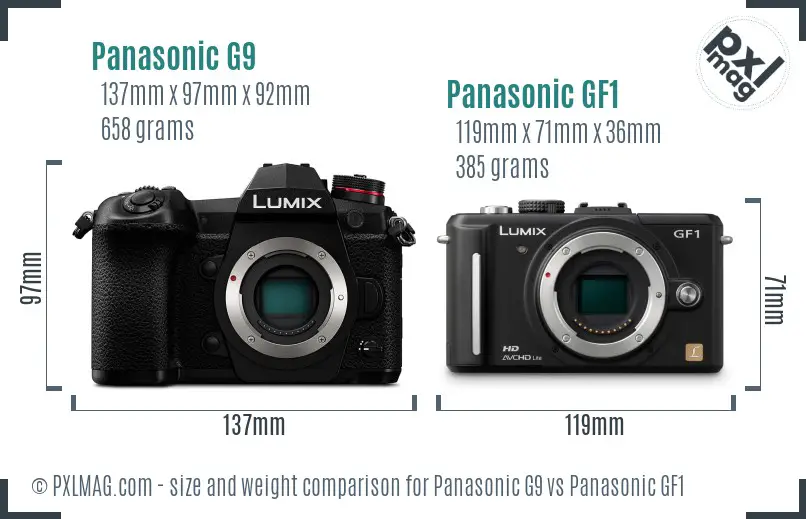 Panasonic G9 vs Panasonic GF1 size comparison