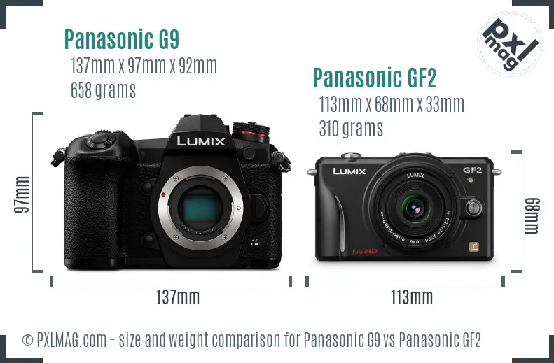 Panasonic G9 vs Panasonic GF2 size comparison