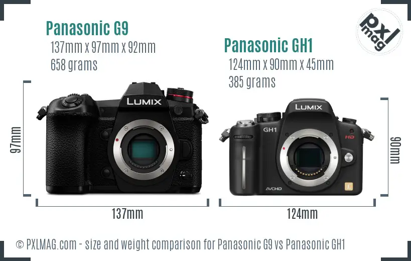 Panasonic G9 vs Panasonic GH1 size comparison