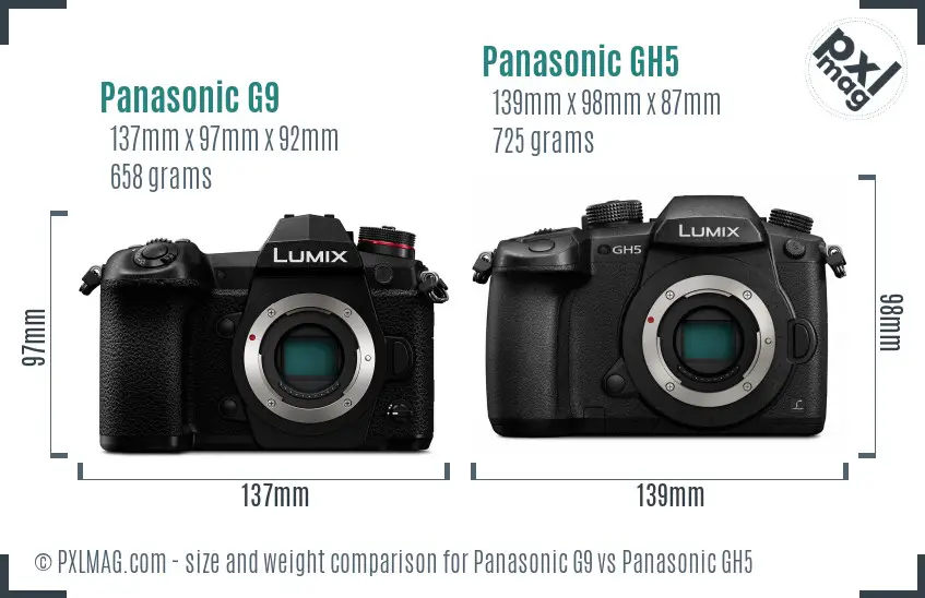 Panasonic G9 vs Panasonic GH5 size comparison