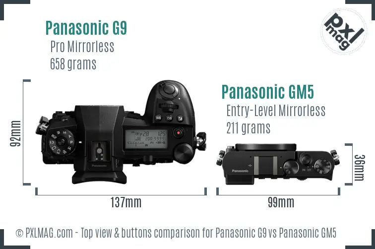 Panasonic G9 vs Panasonic GM5 top view buttons comparison