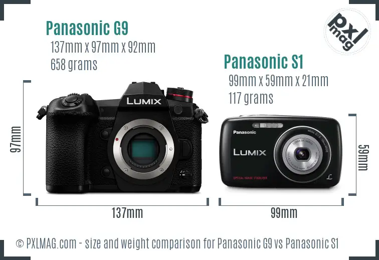 Panasonic G9 vs Panasonic S1 size comparison