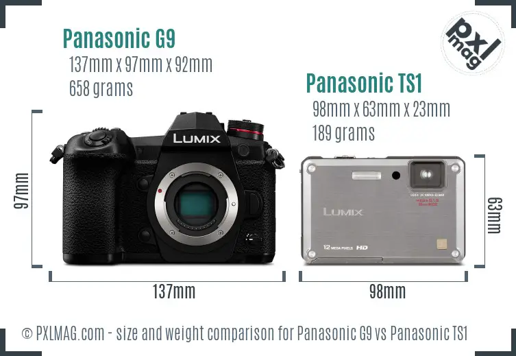 Panasonic G9 vs Panasonic TS1 size comparison Panasonic G9 vs Panasonic TS1 size comparison