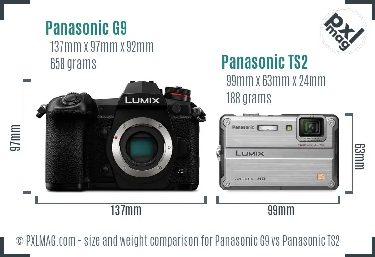 Panasonic G9 vs Panasonic TS2 size comparison