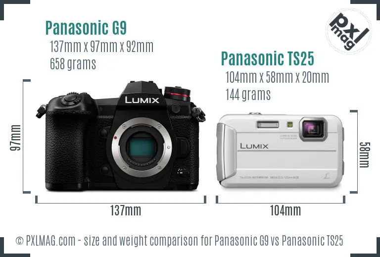 Panasonic G9 vs Panasonic TS25 size comparison