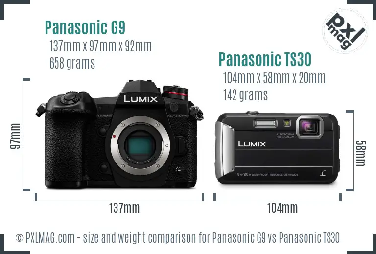 Panasonic G9 vs Panasonic TS30 size comparison