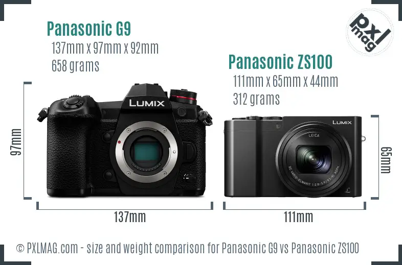 Panasonic G9 vs Panasonic ZS100 size comparison