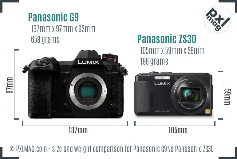 Panasonic G9 vs Panasonic ZS30 size comparison