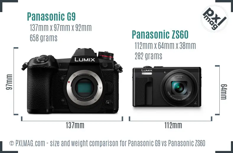 Panasonic G9 vs Panasonic ZS60 size comparison