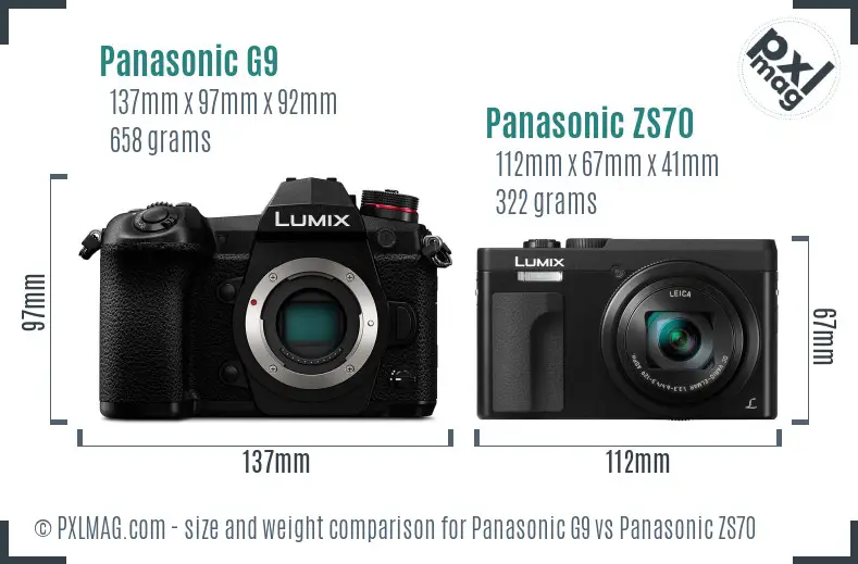 Panasonic G9 vs Panasonic ZS70 size comparison