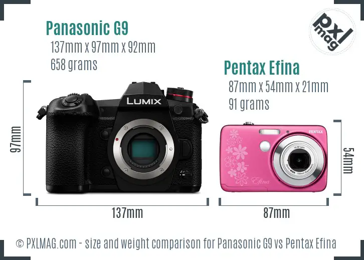 Panasonic G9 vs Pentax Efina size comparison