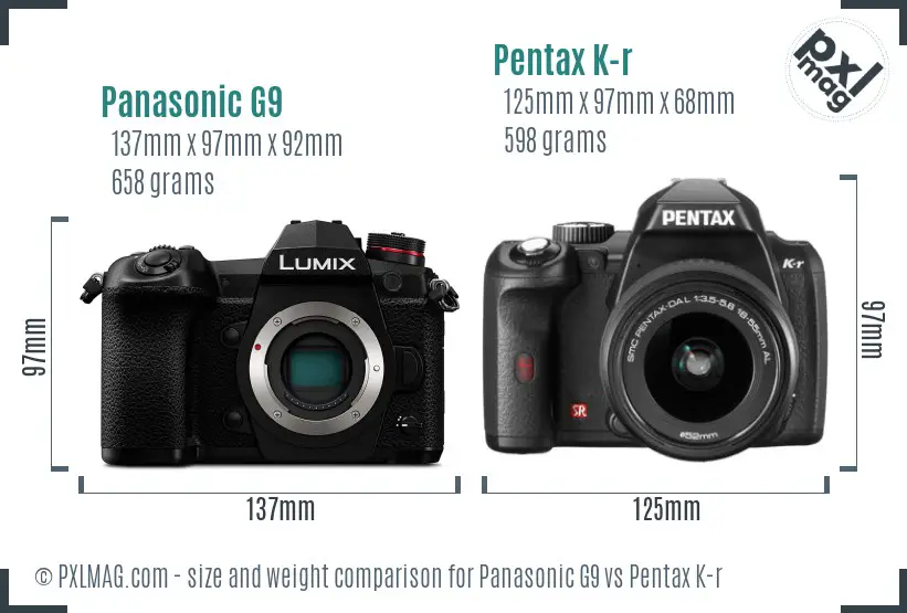 Panasonic G9 vs Pentax K-r size comparison