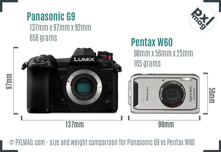Panasonic G9 vs Pentax W60 size comparison