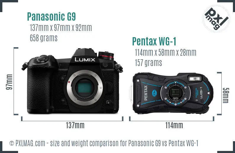 Panasonic G9 vs Pentax WG-1 size comparison