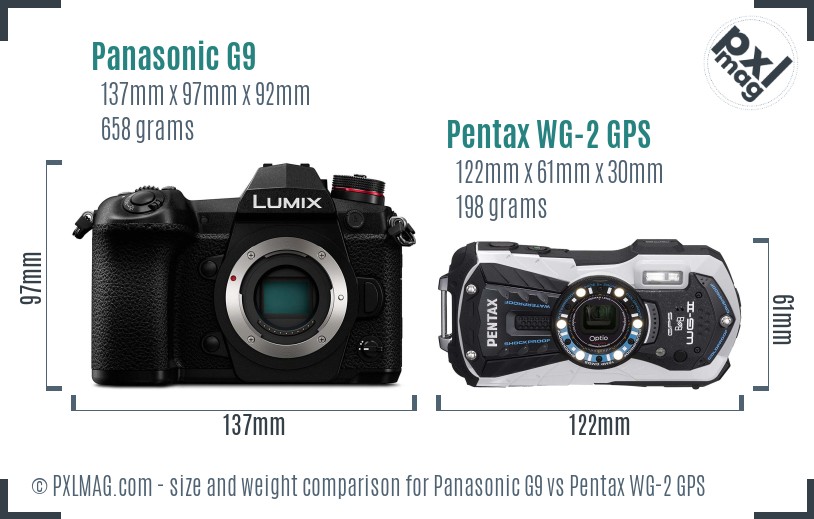 Panasonic G9 vs Pentax WG-2 GPS size comparison