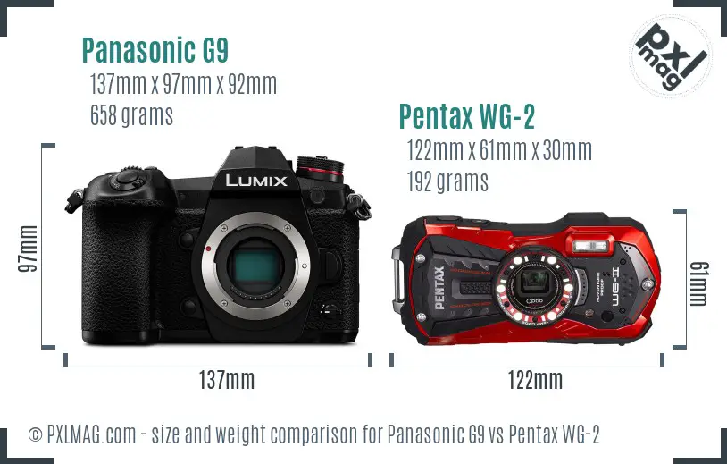 Panasonic G9 vs Pentax WG-2 size comparison