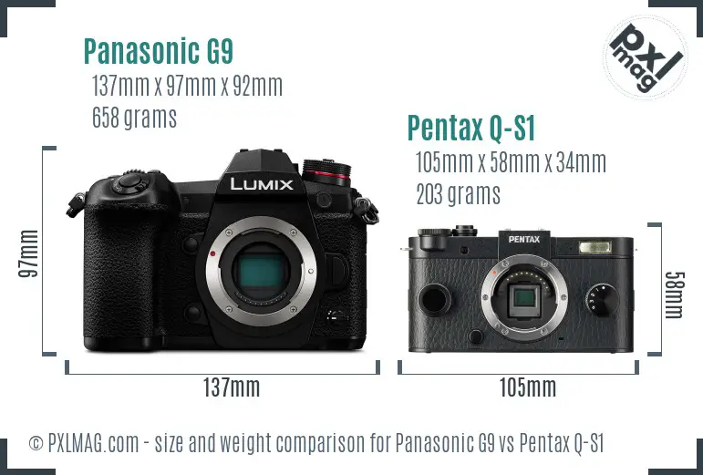 Panasonic G9 vs Pentax Q-S1 size comparison