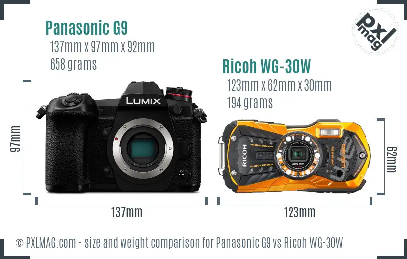 Panasonic G9 vs Ricoh WG-30W size comparison
