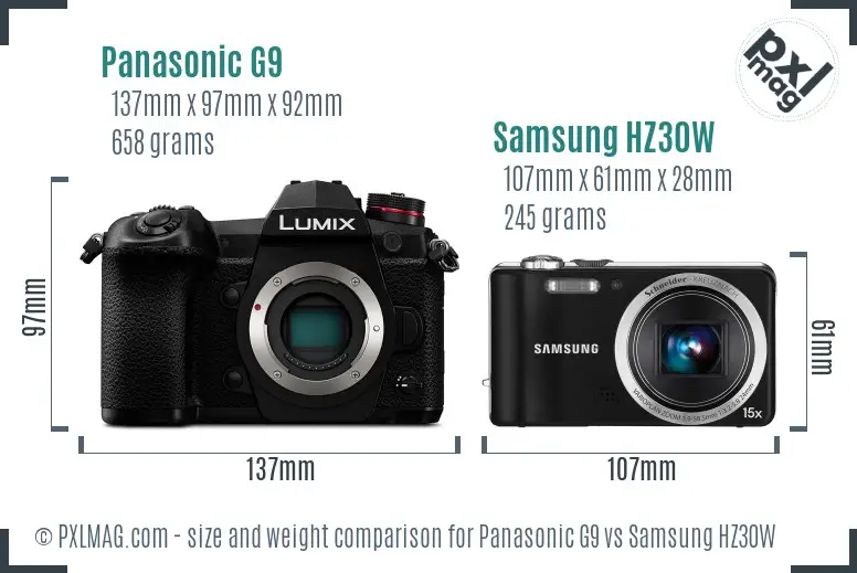 Panasonic G9 vs Samsung HZ30W size comparison