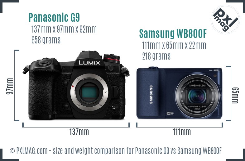 Panasonic G9 vs Samsung WB800F size comparison