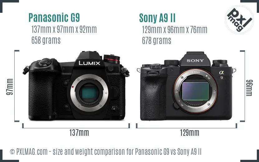 Panasonic G9 vs Sony A9 II size comparison