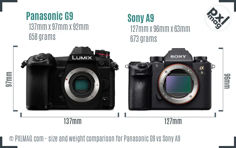 Panasonic G9 vs Sony A9 size comparison