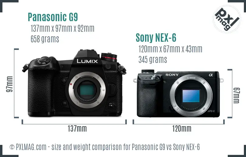 Panasonic G9 vs Sony NEX-6 size comparison