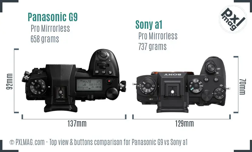 Panasonic G9 vs Sony a1 top view buttons comparison
