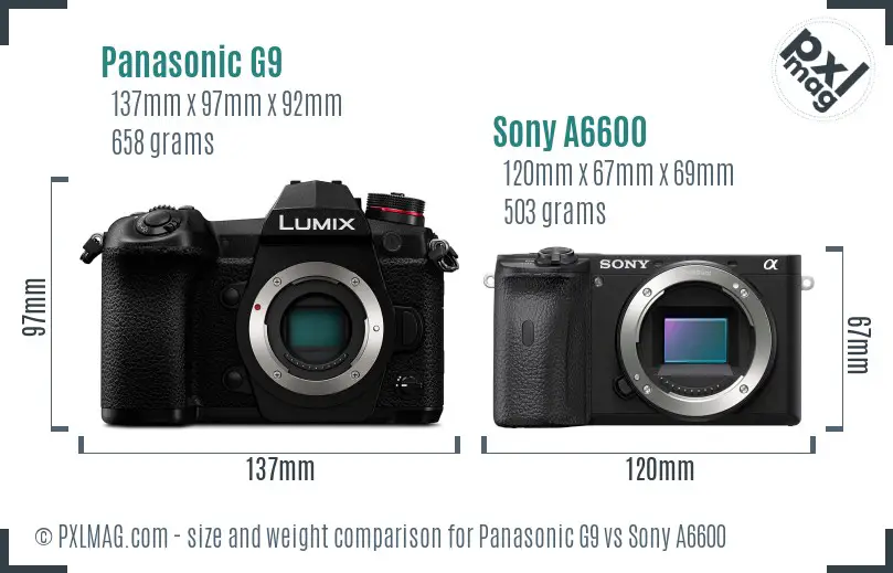 Panasonic G9 vs Sony A6600 size comparison