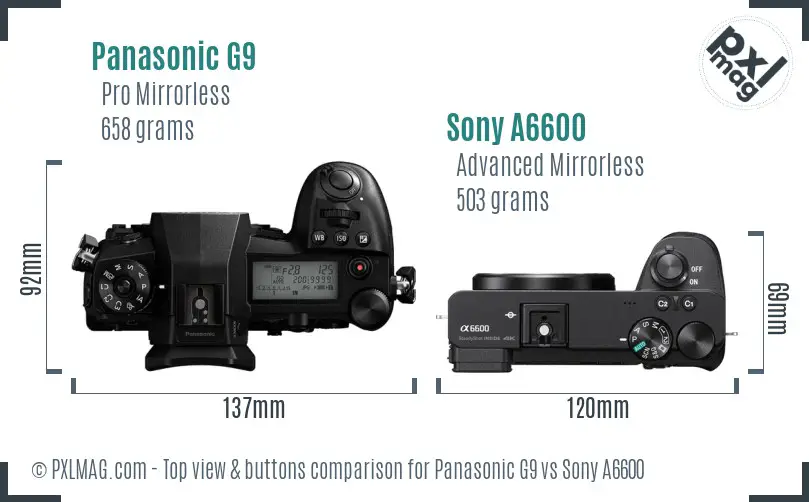 Panasonic G9 vs Sony A6600 top view buttons comparison