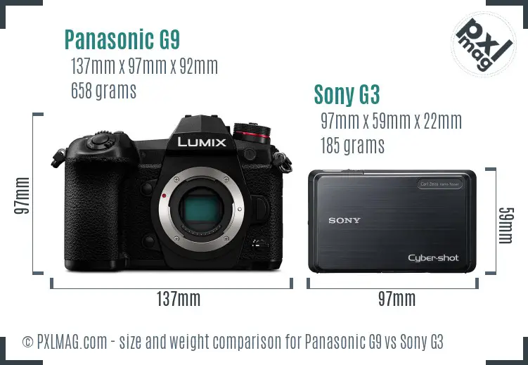 Panasonic G9 vs Sony G3 size comparison