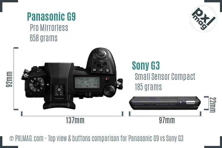 Panasonic G9 vs Sony G3 top view buttons comparison