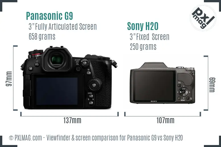 Panasonic G9 vs Sony H20 Screen and Viewfinder comparison