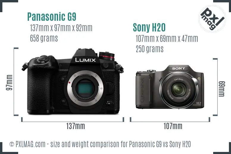 Panasonic G9 vs Sony H20 size comparison