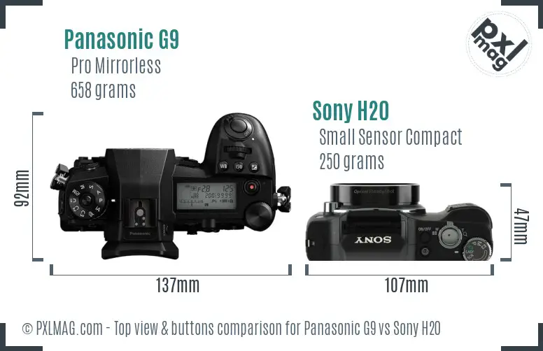 Panasonic G9 vs Sony H20 top view buttons comparison