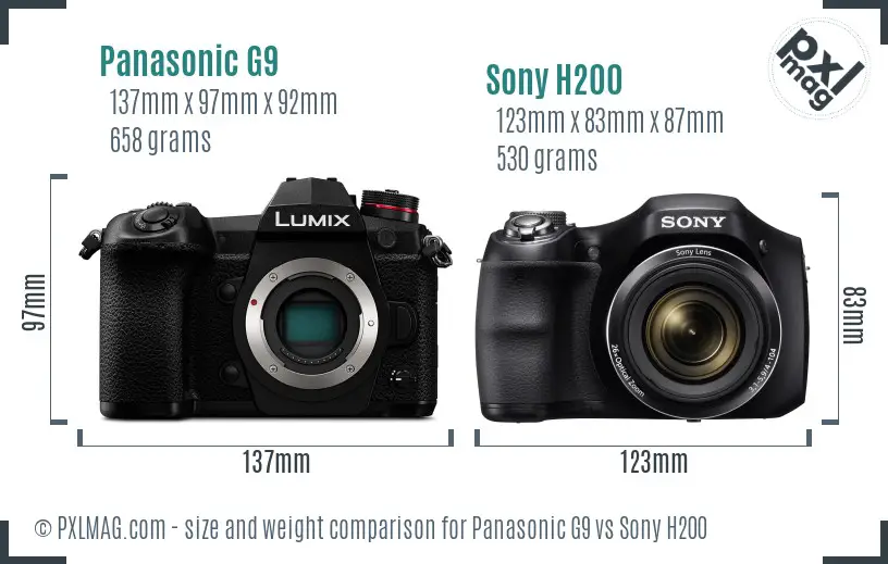 Panasonic G9 vs Sony H200 size comparison