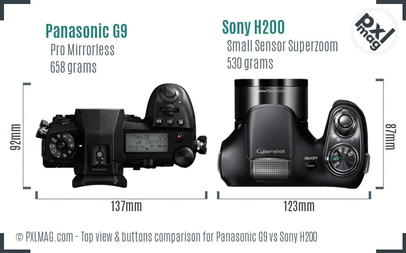 Panasonic G9 vs Sony H200 top view buttons comparison