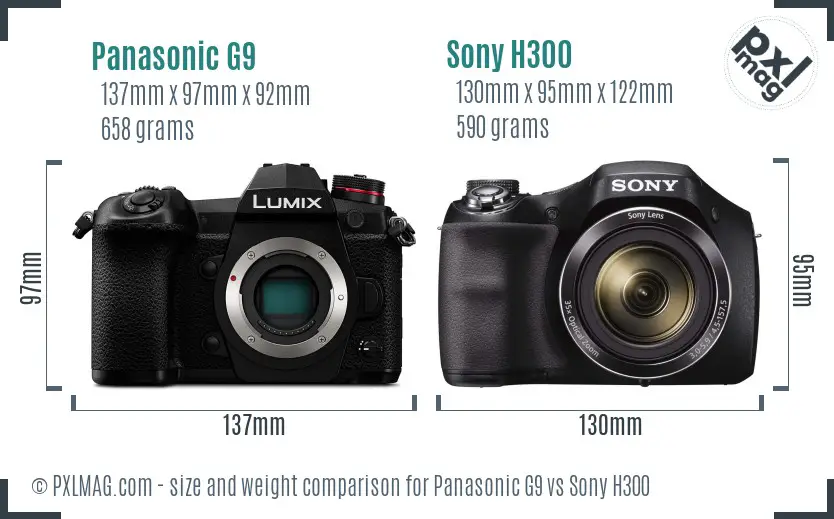 Panasonic G9 vs Sony H300 size comparison