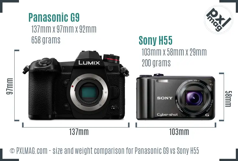 Panasonic G9 vs Sony H55 size comparison