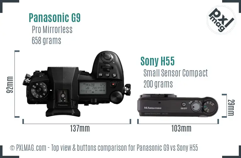 Panasonic G9 vs Sony H55 top view buttons comparison