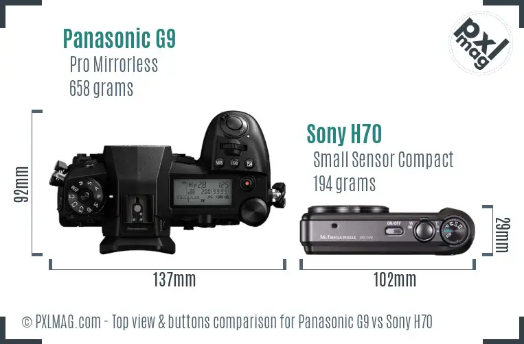 Panasonic G9 vs Sony H70 top view buttons comparison