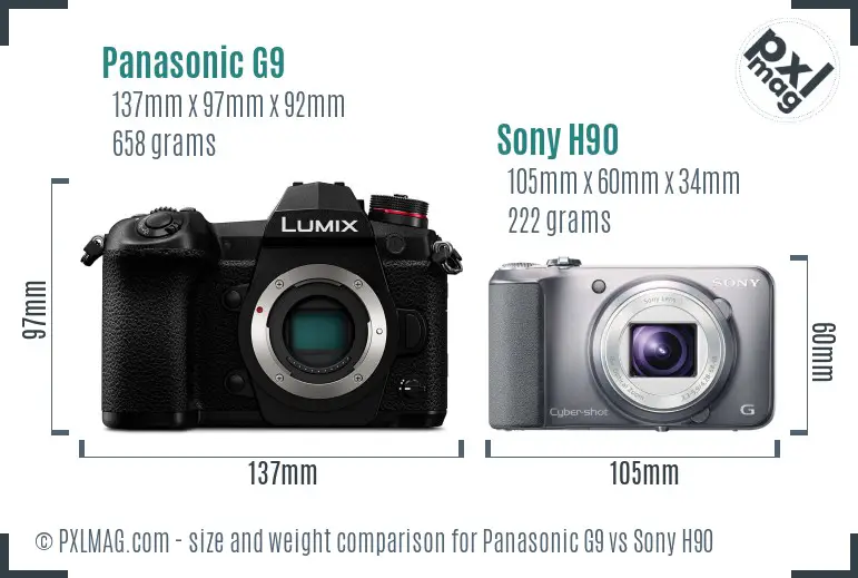 Panasonic G9 vs Sony H90 size comparison