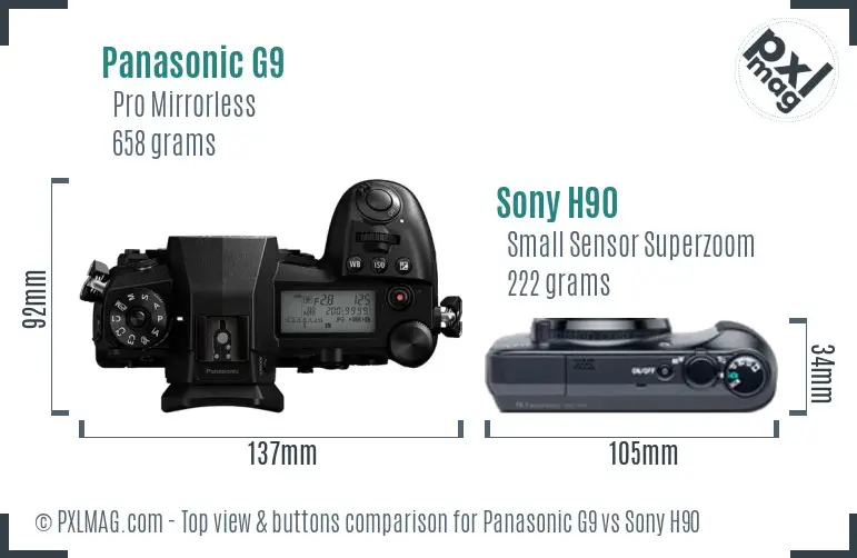 Panasonic G9 vs Sony H90 top view buttons comparison