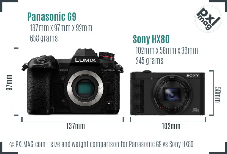 Panasonic G9 vs Sony HX80 size comparison