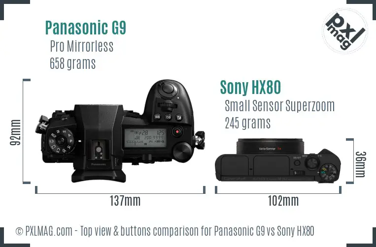 Panasonic G9 vs Sony HX80 top view buttons comparison