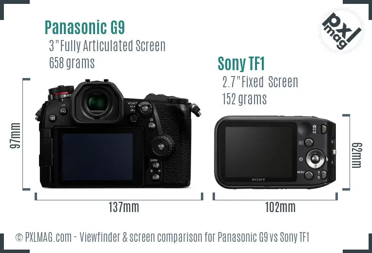 Panasonic G9 vs Sony TF1 Screen and Viewfinder comparison