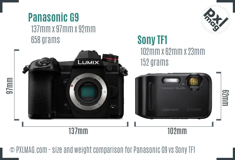 Panasonic G9 vs Sony TF1 size comparison