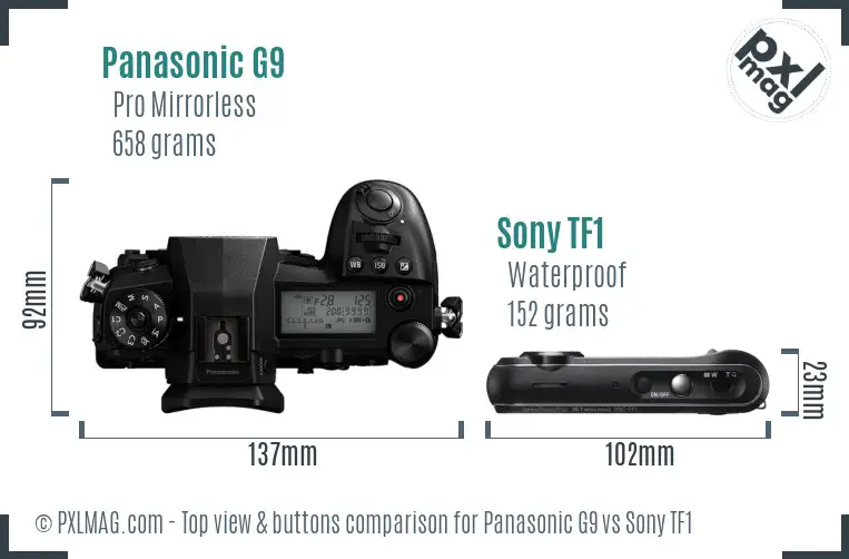 Panasonic G9 vs Sony TF1 top view buttons comparison