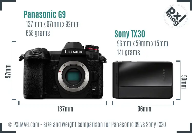 Panasonic G9 vs Sony TX30 size comparison
