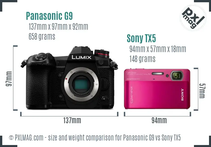 Panasonic G9 vs Sony TX5 size comparison